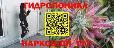 стафф Абинск