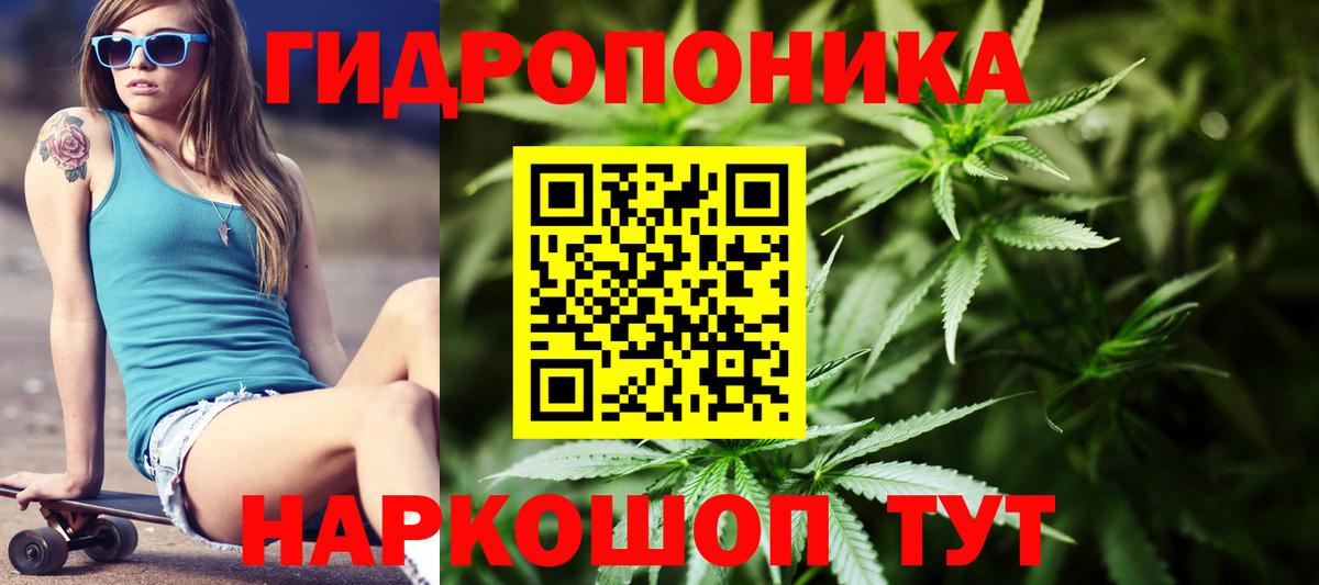 Марихуана THC 21%  Каннабис конопля  Абакан  Конопля VHQ  Шишки марихуана OG Kush  Вход с VPN 
